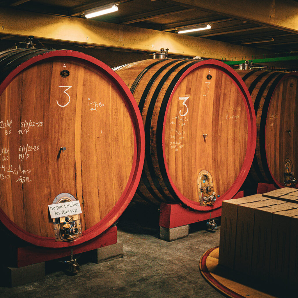 #BADF25 @ Brouwerij 3 Fonteinen | © Roeland Rypens, 2026