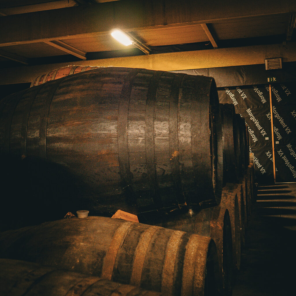 #BADF25 @ Brouwerij 3 Fonteinen | © Roeland Rypens, 2026