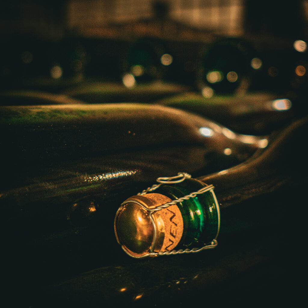 #BADF25 @ Brouwerij 3 Fonteinen | © Roeland Rypens, 2026