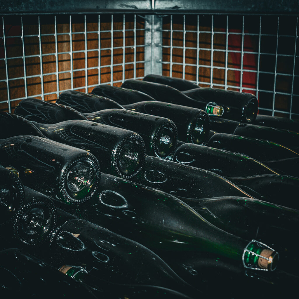 #BADF25 @ Brouwerij 3 Fonteinen | © Roeland Rypens, 2026