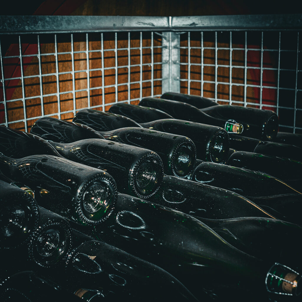 #BADF25 @ Brouwerij 3 Fonteinen | © Roeland Rypens, 2026