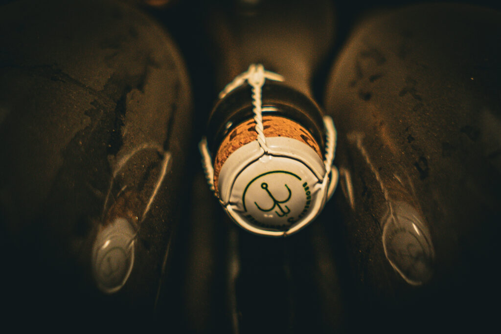 #BADF25 @ Brouwerij 3 Fonteinen | © Roeland Rypens, 2026