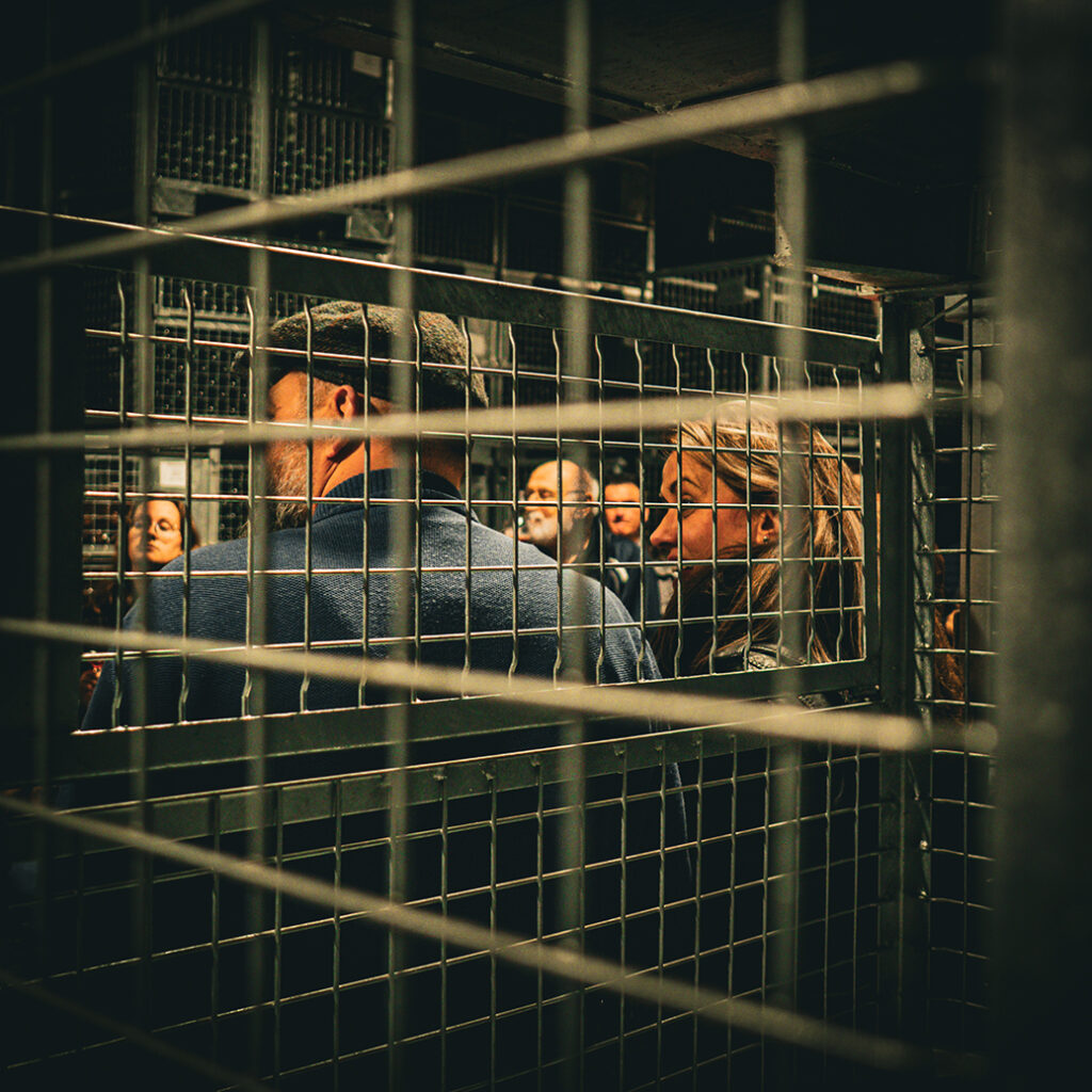 #BADF25 @ Brouwerij 3 Fonteinen | © Roeland Rypens, 2026